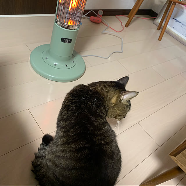 lynnさんの実例写真