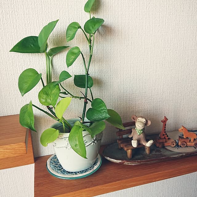 hopkeiさんの実例写真