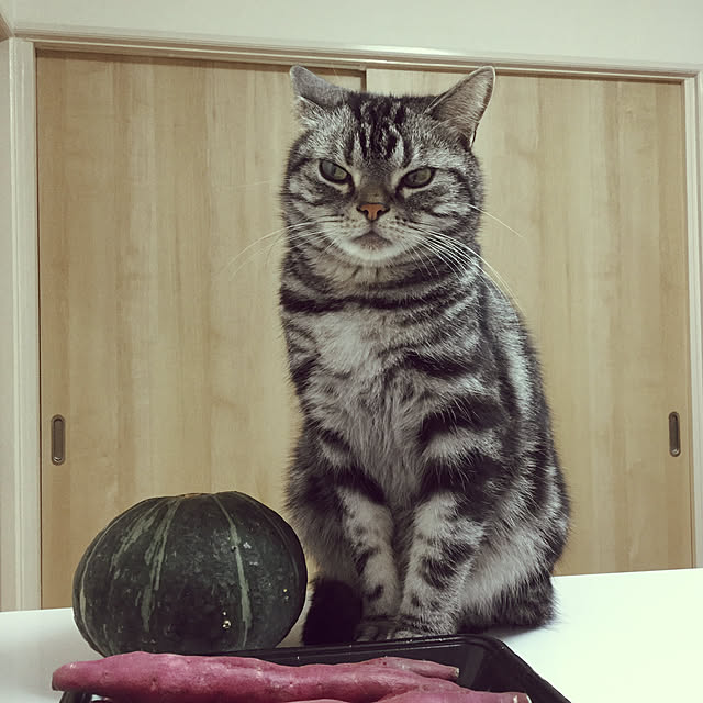 richanさんの実例写真