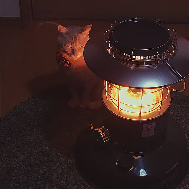 mikan161さんの実例写真