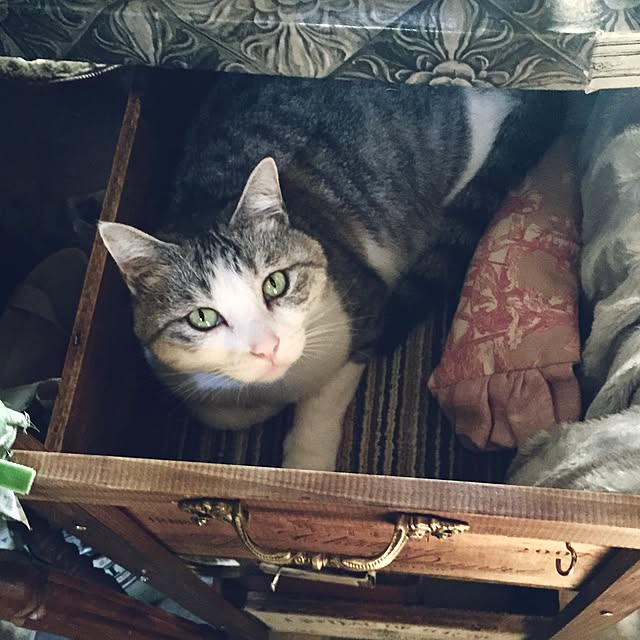 emmyyさんの実例写真