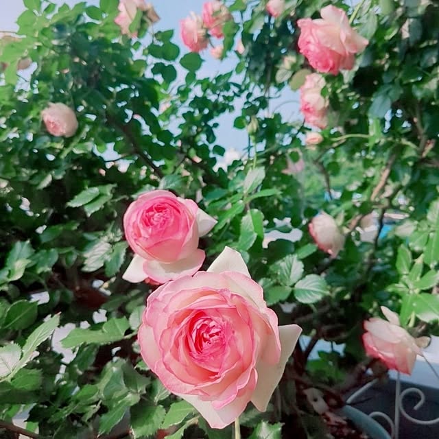 twinkle-butterfly38さんの部屋