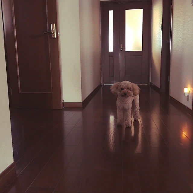 Lilicoさんの実例写真