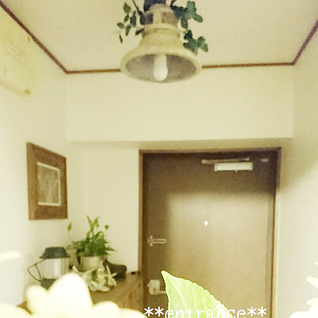 kajyuさんの実例写真