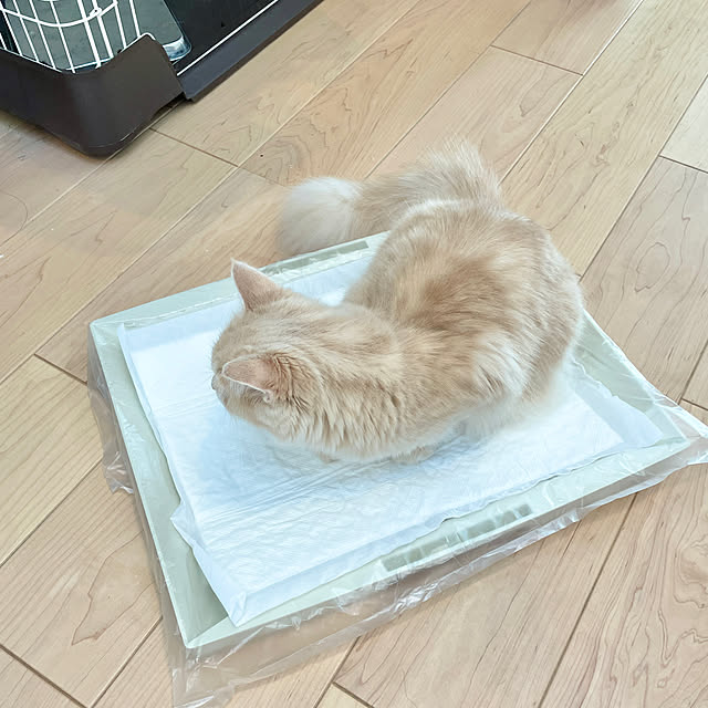 kさんの部屋