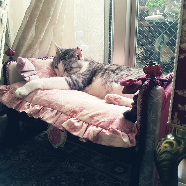 emmyyさんの実例写真