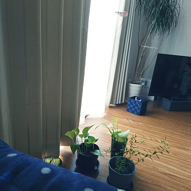 Noriさんの実例写真