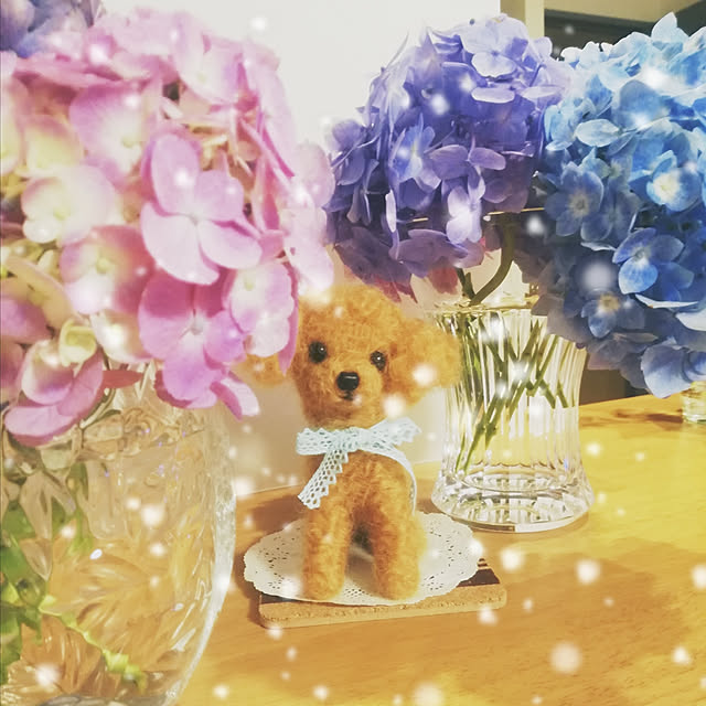 minmi-さんの実例写真