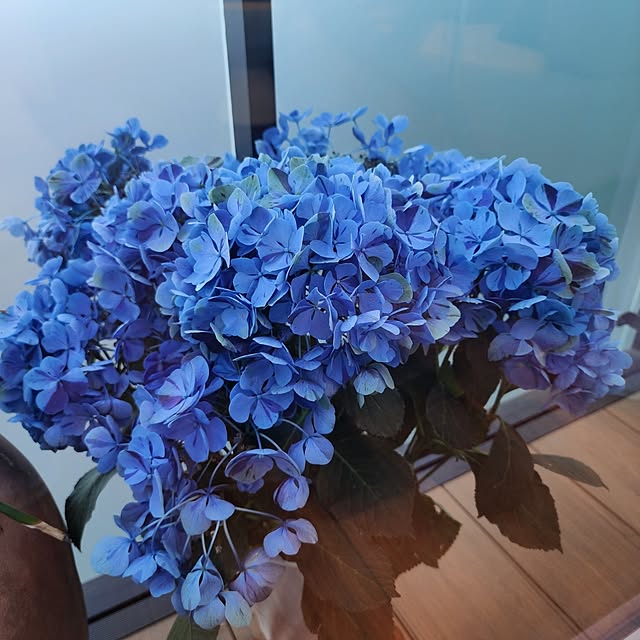 75さんの実例写真
