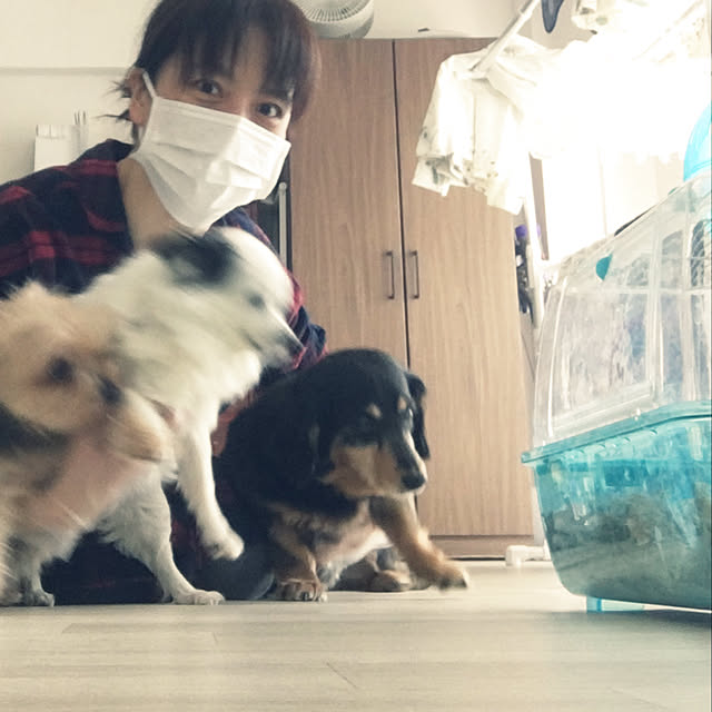 ohanaさんの実例写真