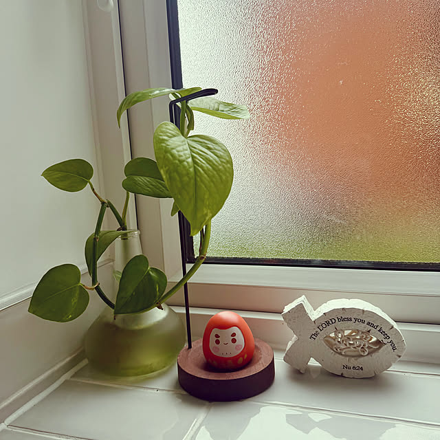 chingobellさんの実例写真