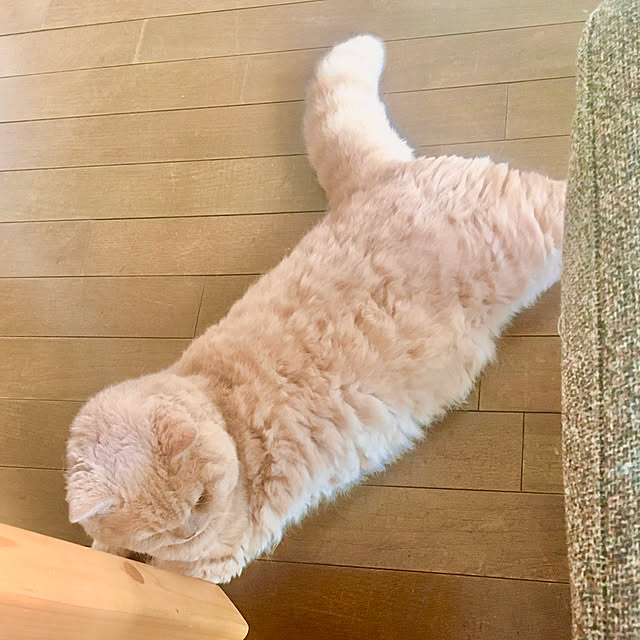 naokoさんの部屋