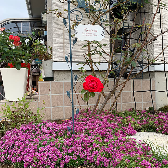 hirokoさんの実例写真