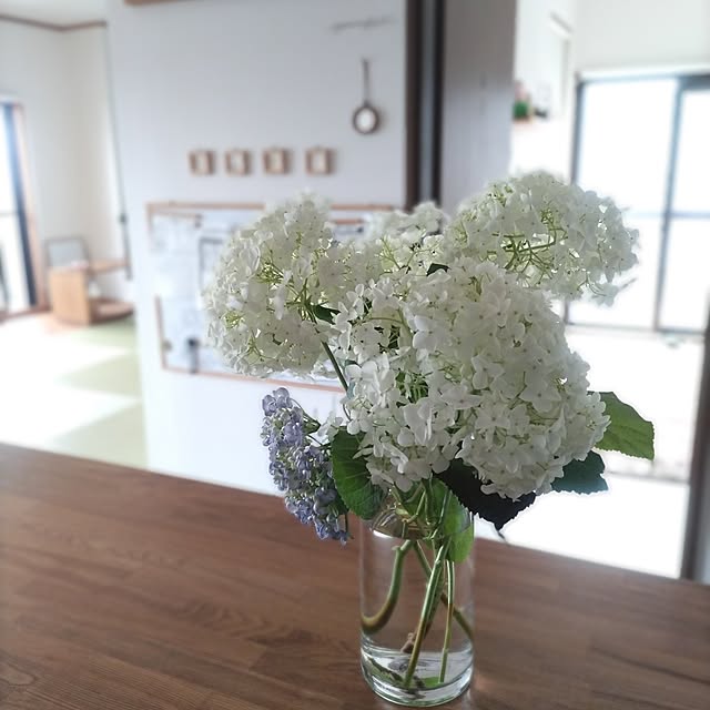 sakiさんの部屋