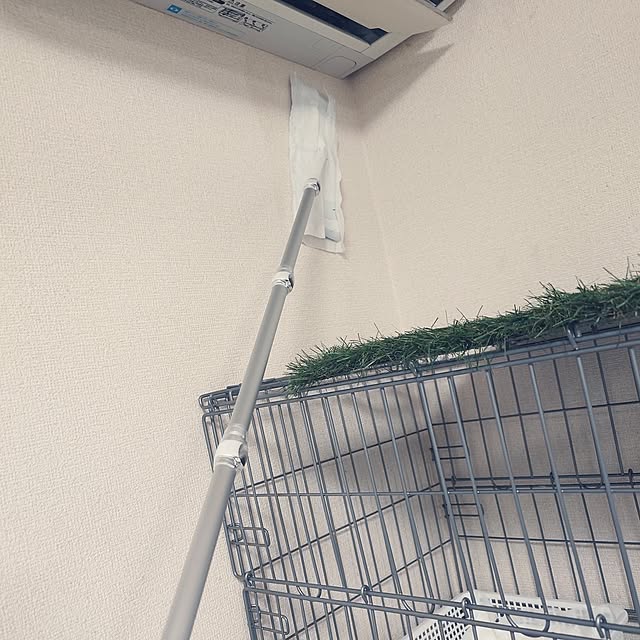 noguriさんの部屋
