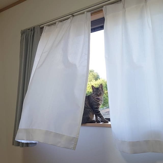 sunflower07さんの実例写真