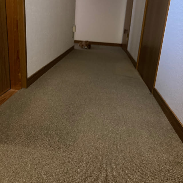 koroさんの実例写真