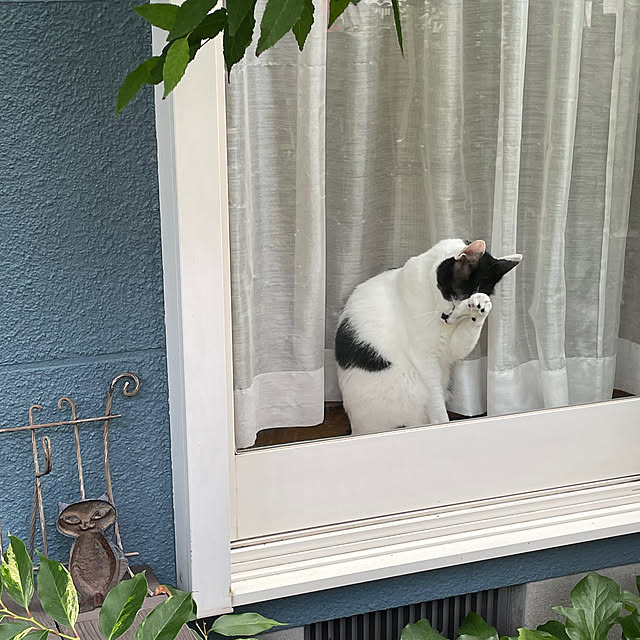nobikoさんの部屋