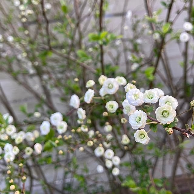 min_nimさんの実例写真
