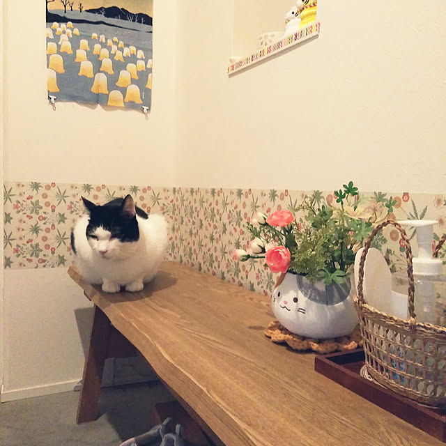 futukoさんの実例写真