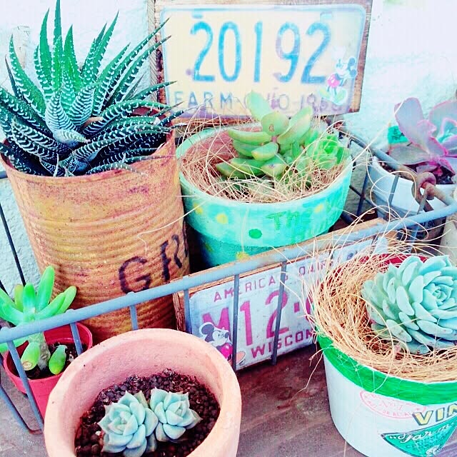 zu_kkyyさんの実例写真