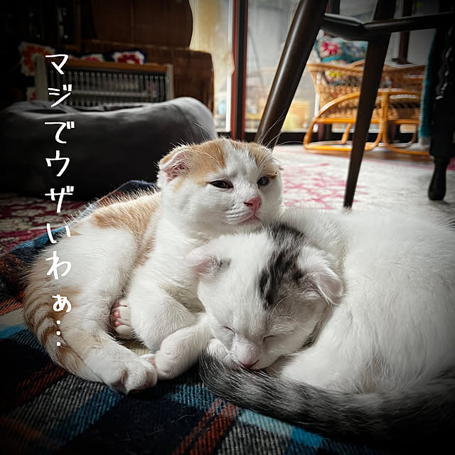 marusanさんの実例写真