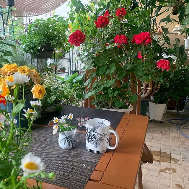 Aqettyさんの部屋