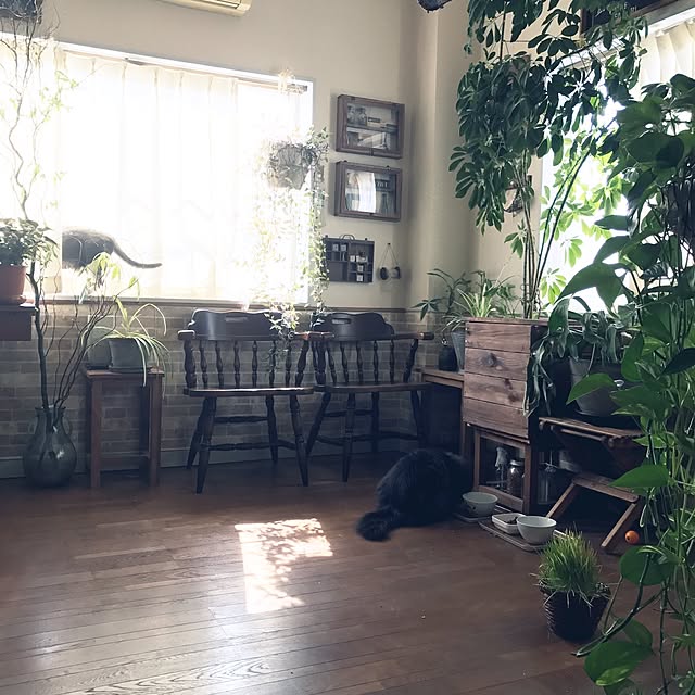 mucc08さんの実例写真