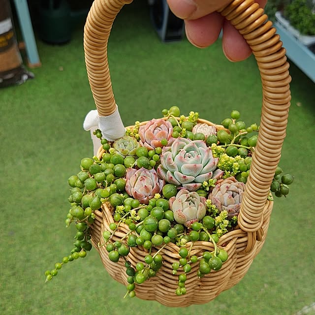 amtさんの実例写真