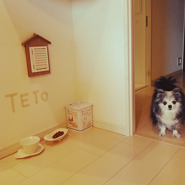 tetochiwawanさんの実例写真
