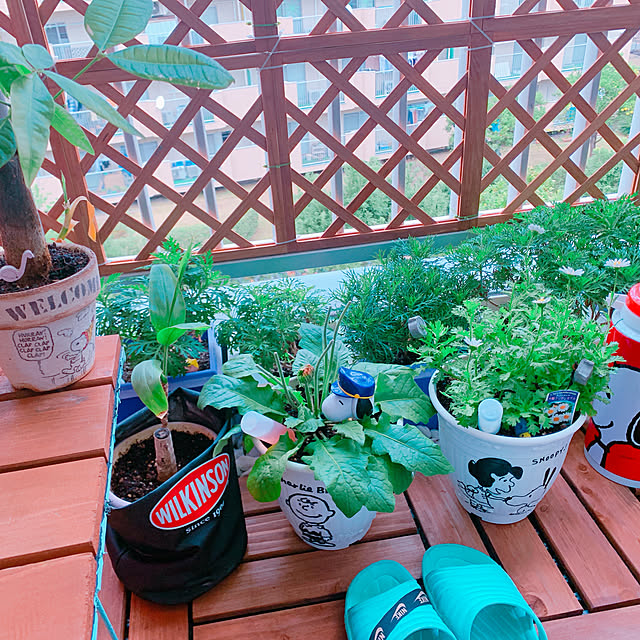 totoさんの実例写真