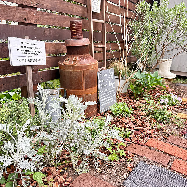 mami3さんの実例写真