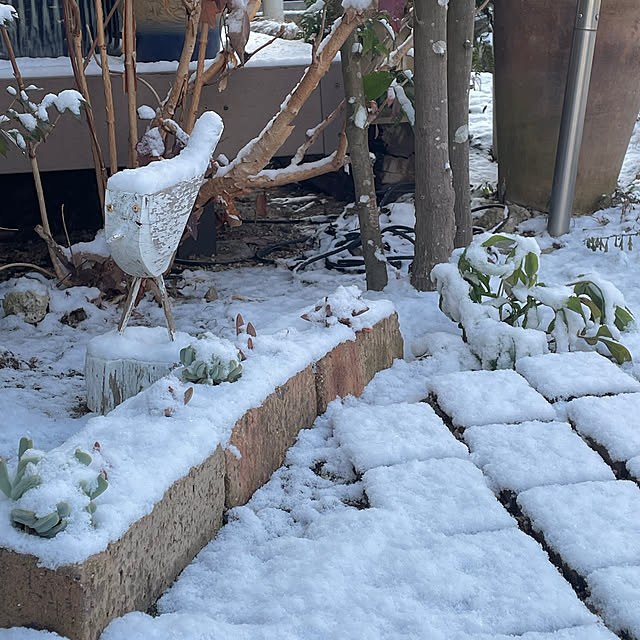 nobikoさんの部屋