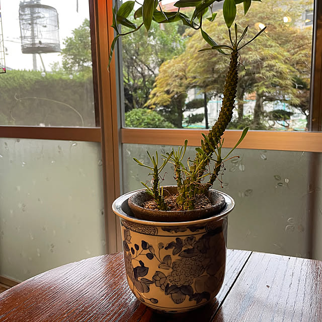 shin0719さんの実例写真