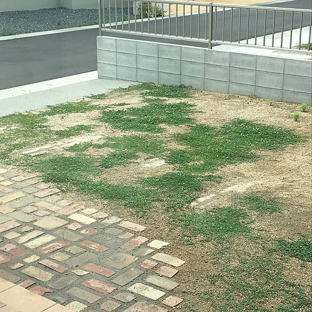sa_yaさんの実例写真