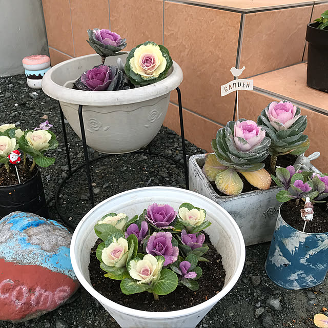goemama426さんの実例写真
