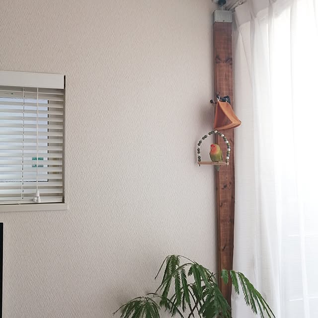 so-bokuさんの実例写真