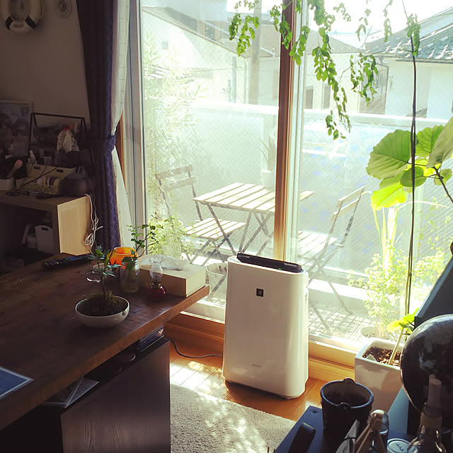 nature-faloさんの実例写真