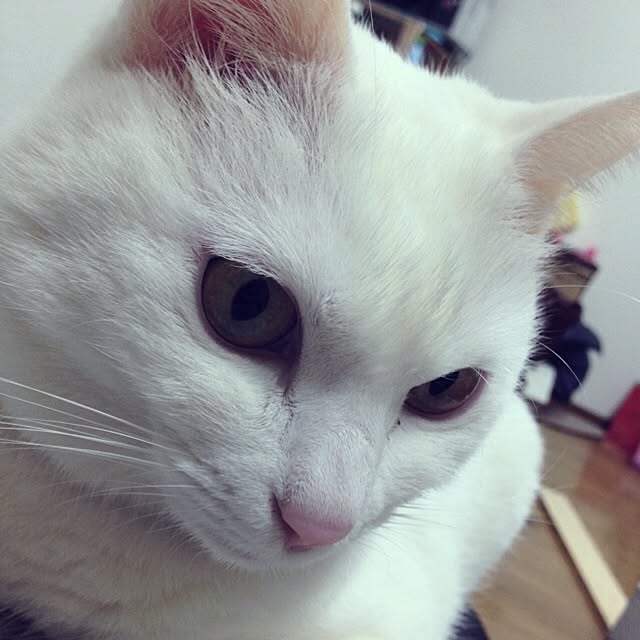 Yukiさんの実例写真