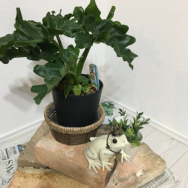 実例写真