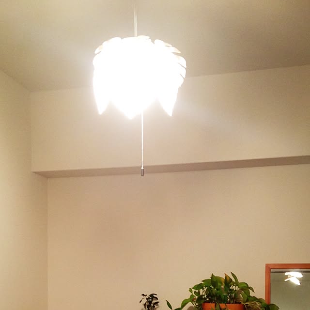 toguayaさんの実例写真