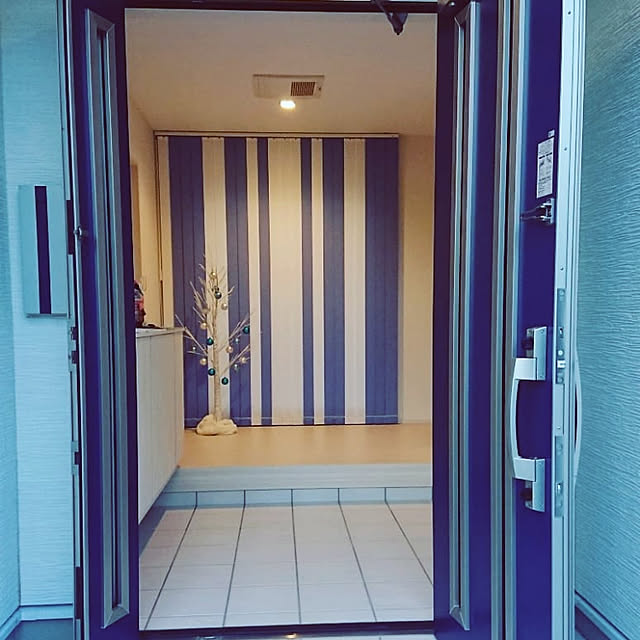 maenagiさんの実例写真