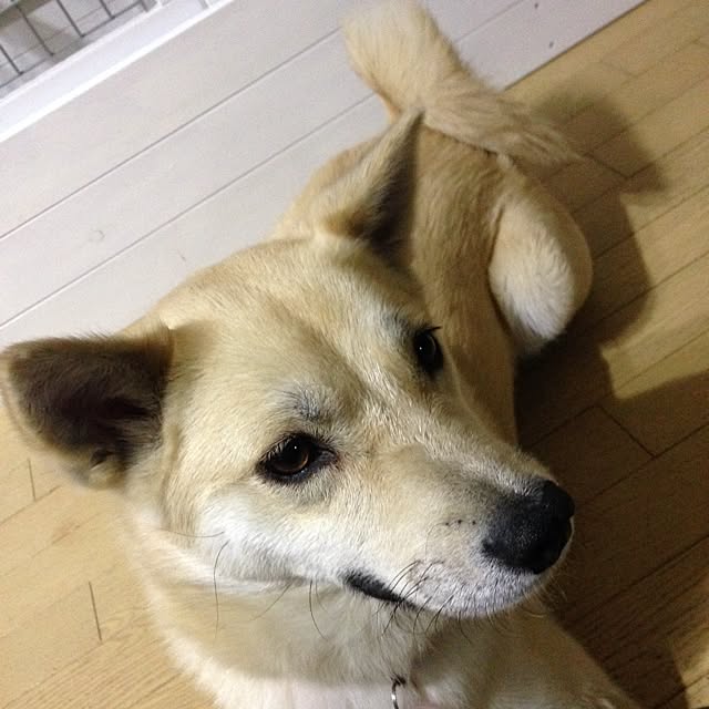 leonaさんの実例写真