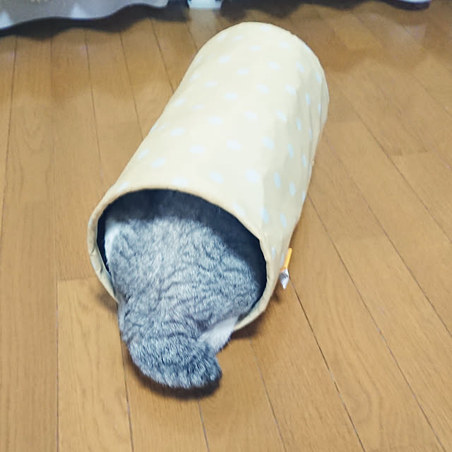 nachiさんの実例写真