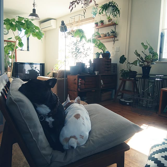 kuuuuさんの実例写真