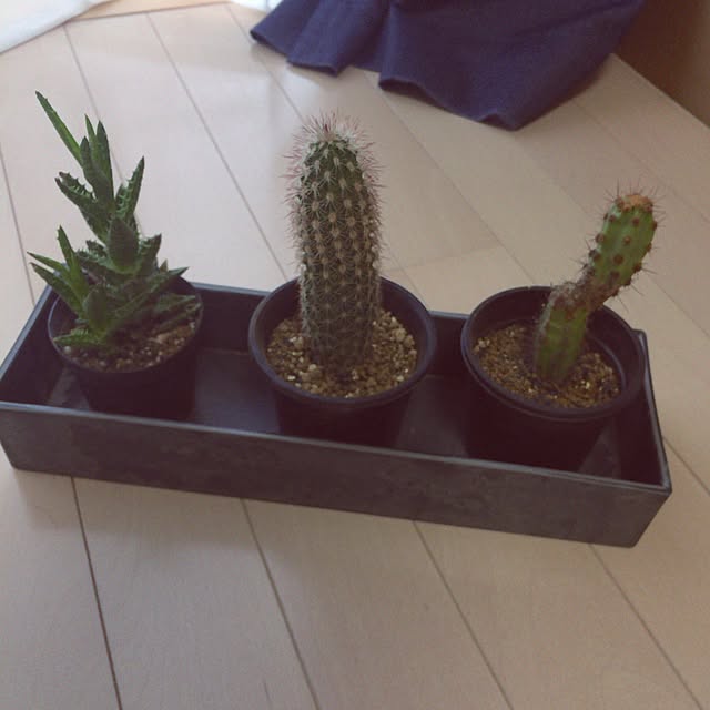 mkさんの実例写真