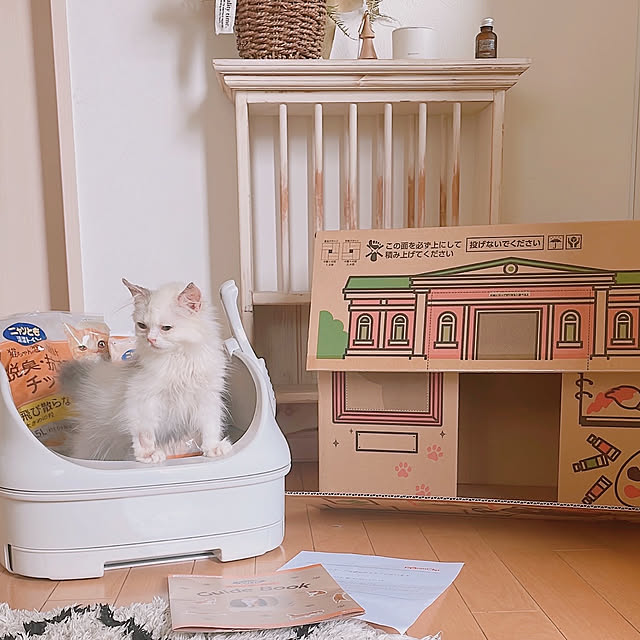 milkcocoaさんの実例写真