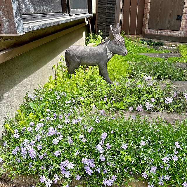 tabasaさんの部屋