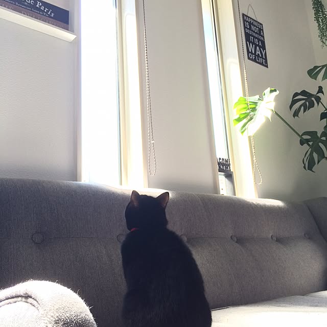 Miさんの実例写真