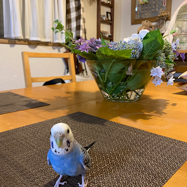 cyaroさんの実例写真